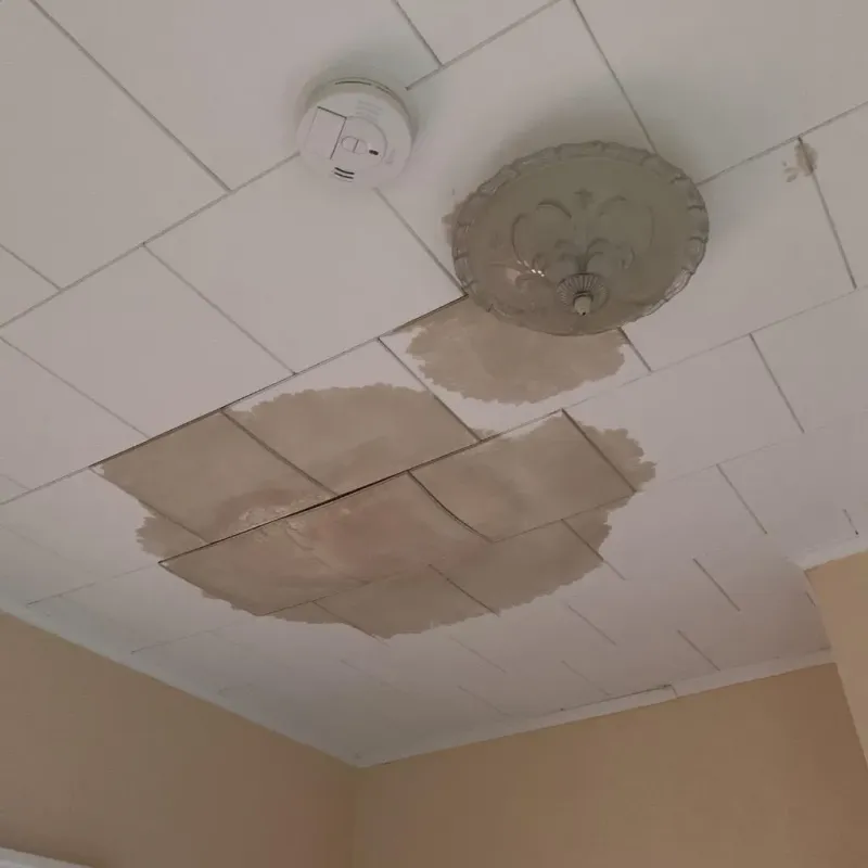 Ceiling Water Damage Repair in Southern Pines, NC