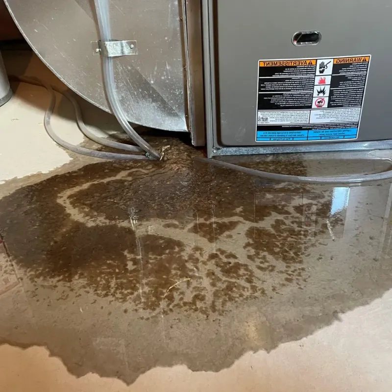 Pipe Burst and Leak Restoration in Southern Pines, NC